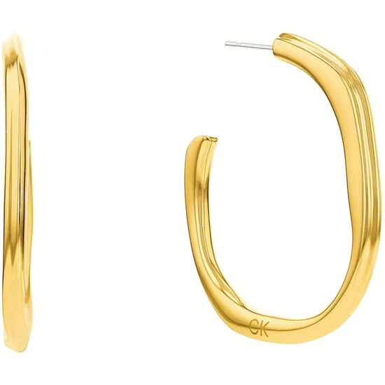 Calvin Klein Earrings - Elemental 35000644