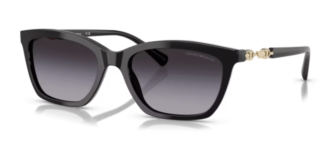 EMPORIO ARMANI EA4238 50178G