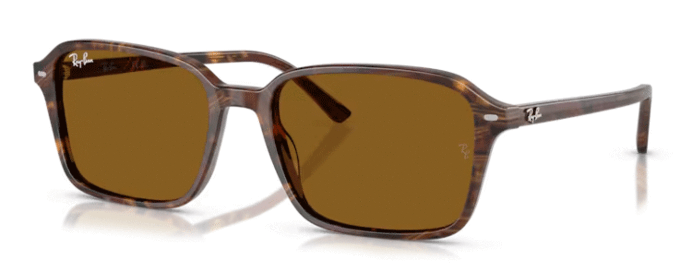 RAY-BAN RB2231 141833