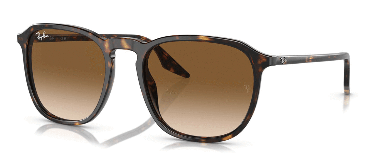 Ray-Ban RB2203 902/51