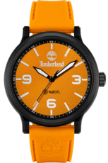 only € | watches TIMBERLAND | 99,00 for IRISIMO