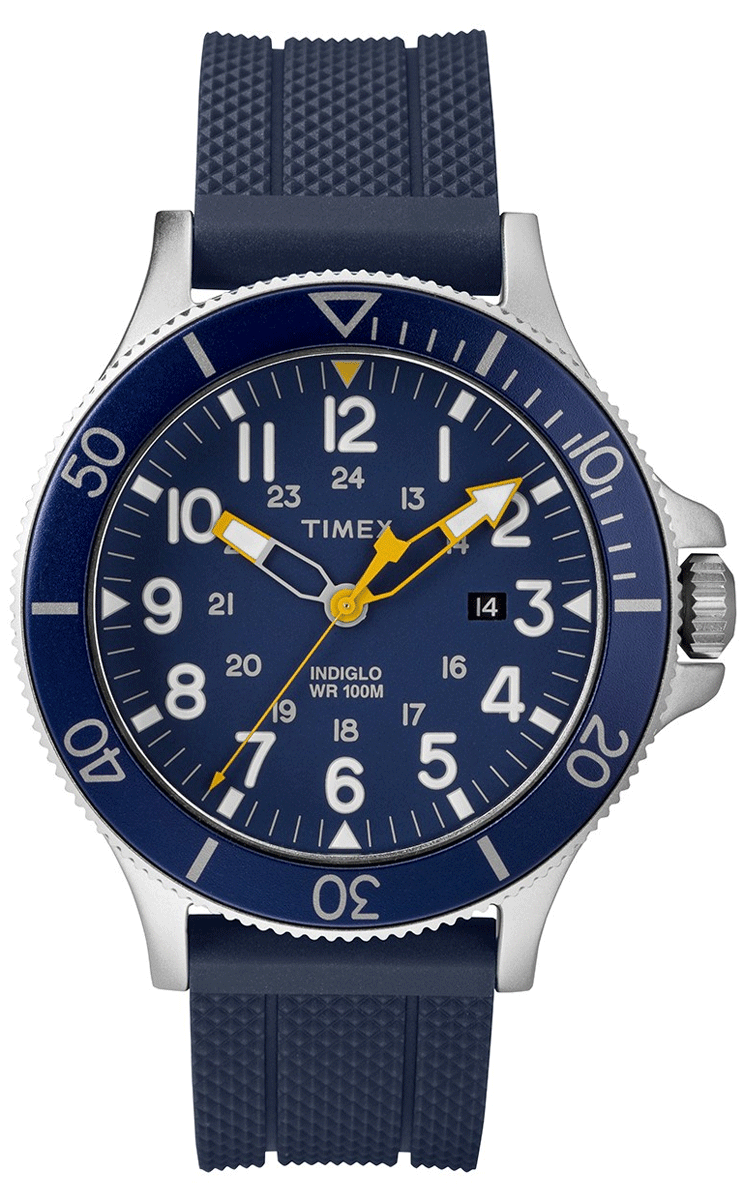 Timex allied store coastline watch