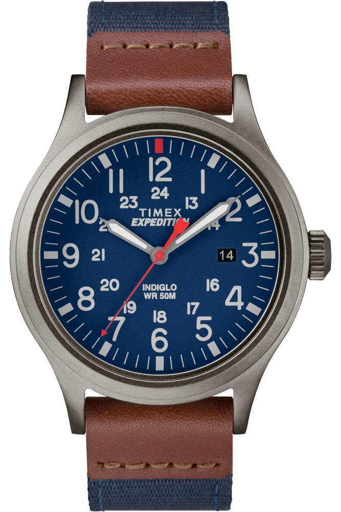 Timex expedition sale scout nato strap