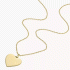 Fossil Drew Gold-Tone Stainless Steel Pendant Necklace JF04689710