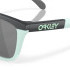 Oakley Frogskins™ Range OO9284 928403