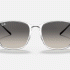 Ray-Ban RB4387 647711