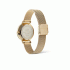 Daniel Wellington Petite Lune Evergold DW00100771